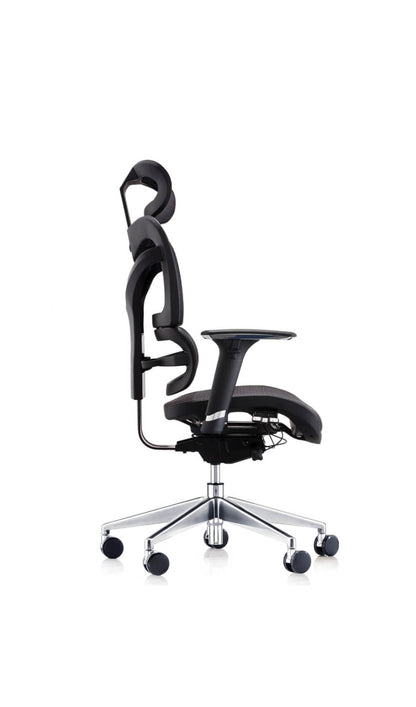 Dorsum Ergonomic Task Chair