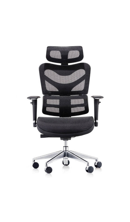 Dorsum Ergonomic Task Chair