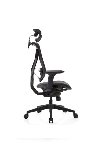 E-Form Ergonomic Task Chair: Affordable Comfort and Modern Style