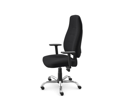 ErgoPro Posture Chair - Ergometric